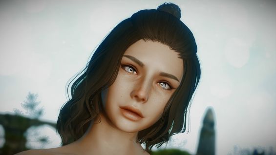 Till Breton High Poly Head Racemenu Preset Skyrim Special