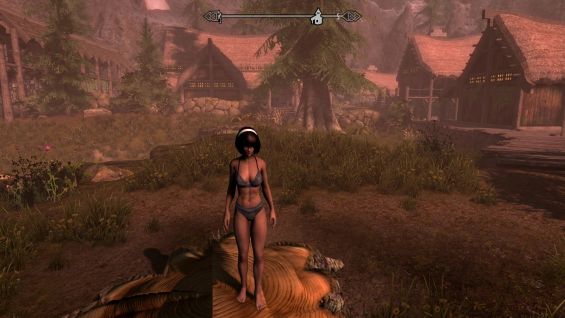 FitnessGoal CBBE 3BA 3BBB Bodyslide Preset for Modest Players 髪・顔・体 ...