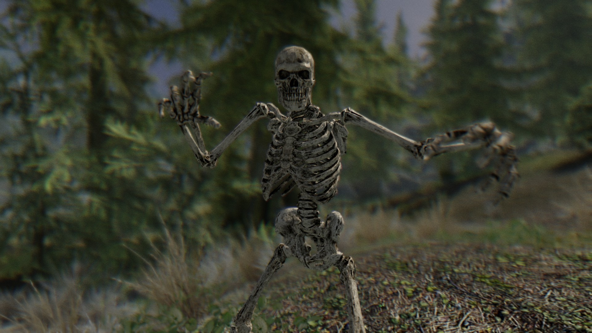 Авантюрист перевоплощается в скелета. Скелеты в скайриме. Скелет скайрим. Игра про скелета.