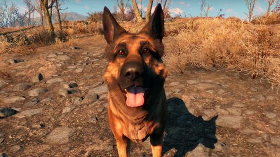 犬 おすすめmod順 Fallout4 Mod データベース