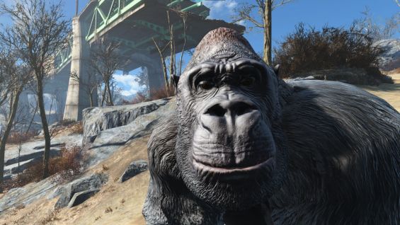 Gorilla Companion 仲間・コンパニオン Fallout4 Mod データベース Mod紹介・まとめサイト