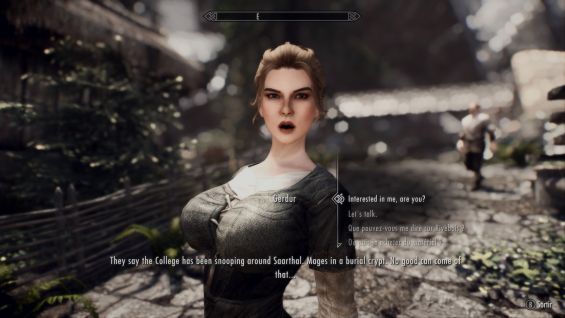 配偶者 おすすめmod順 Skyrim Mod データベース