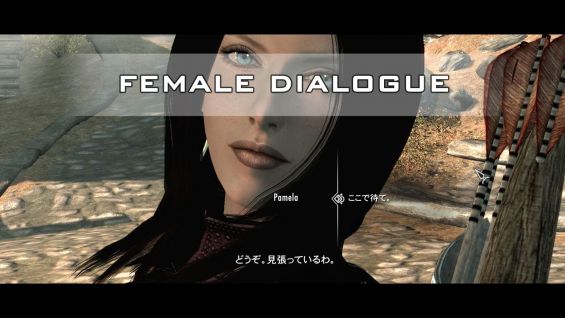 Female Dialogue イマージョン Skyrim Mod データベース Mod紹介 まとめサイト