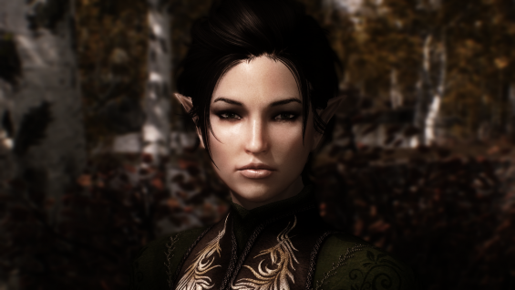 amidianborn skyrim se patch