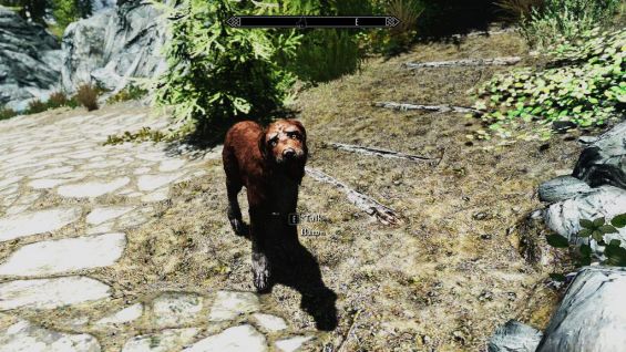 stray-dogs-new-identity-and-name-skyrim-mod-mod