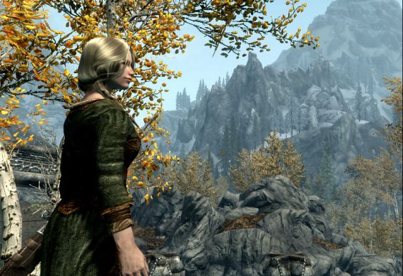 フォロワー追加 おすすめmod順 Page 18 Skyrim Mod データベース