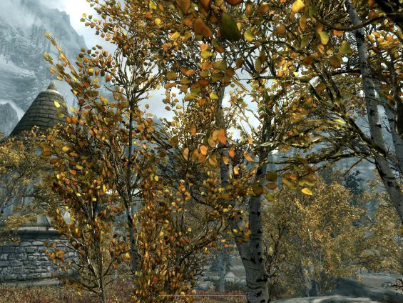 その他 パフォーマンス おすすめmod順 Skyrim Special Edition Mod データベース