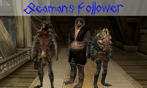 Seamansfollower フォロワー Skyrim Mod データベース Mod紹介 まとめサイト