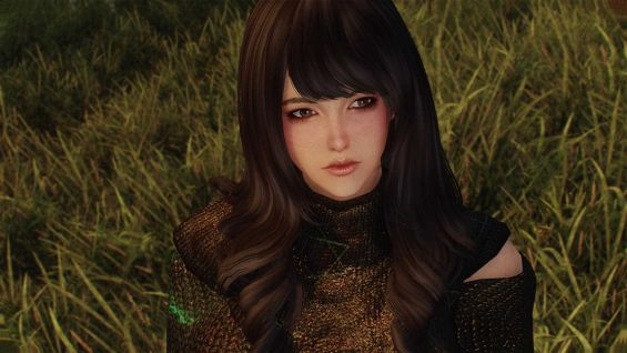 Lane Follower フォロワー Skyrim Mod データベース Mod紹介 まとめサイト