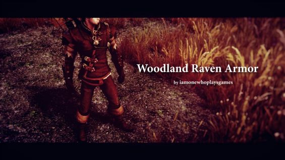 男性用 おすすめmod順 Page 5 Skyrim Mod データベース