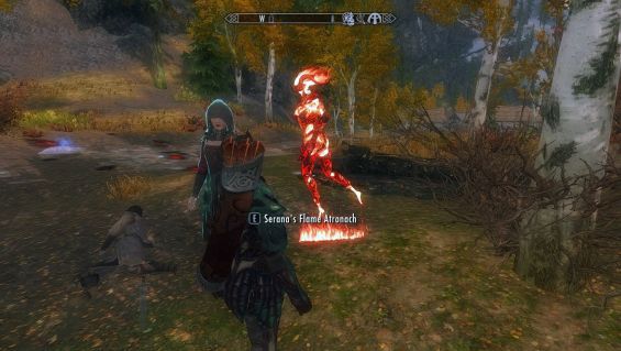 【超特価】 PAGE おすすめMOD順 フォロワーセラーナ 2 Mod Skyrim - その他