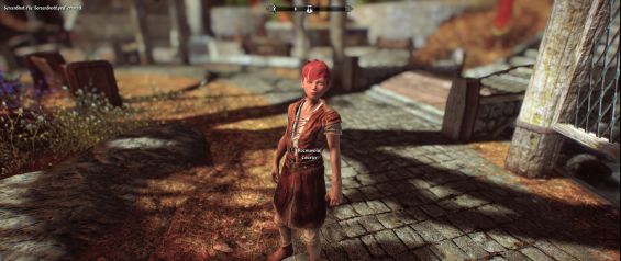 Npc 子供 説明付きの新しい順 Page 1 Skyrim Special Edition Mod データベース