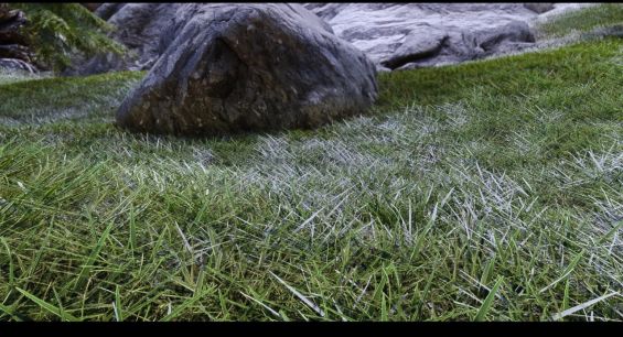 Lore Friendly 3D Complex Grass グラフィックス - Skyrim Special Edition Mod ...