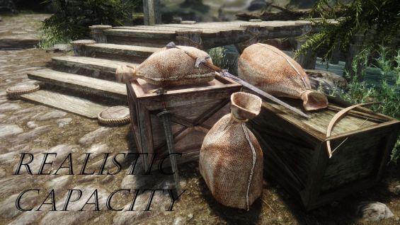 重量制限 おすすめmod順 Skyrim Special Edition Mod データベース