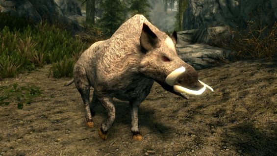 Oblivion おすすめmod順 Skyrim Special Edition Mod データベース