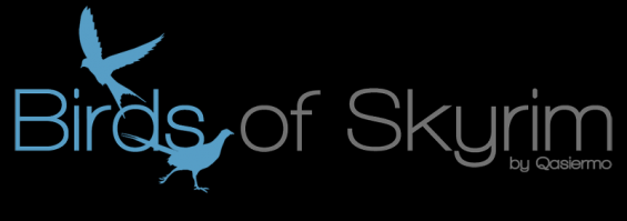 Birds Of Skyrim Sse Edition 日本語化対応 イマージョン Skyrim Special Edition Mod データベース Mod紹介 まとめサイト