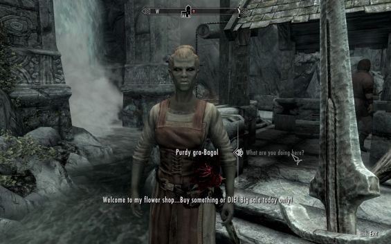 skyrim begger