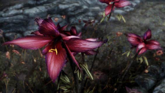 花 おすすめmod順 Page 2 Skyrim Special Edition Mod データベース