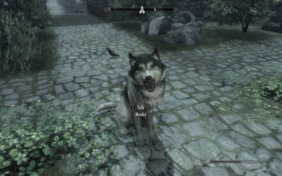 Meeko The Husky Se 日本語化対応 フォロワー クリーチャー Skyrim Special Edition Mod データベース Mod紹介 まとめサイト