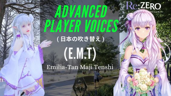 skyrim se player voice mod skyrim se player voice mod
