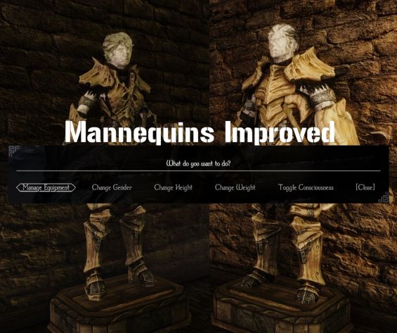 Mannequins Improved 日本語化対応 その他 Skyrim Special Edition Mod データベース Mod紹介 まとめサイト