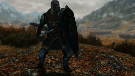 Elite Knight For Se Elite Knight Armor And Weapons From Dark Souls 日本語化対応 鎧 アーマー Skyrim Special Edition Mod データベース Mod紹介 まとめサイト