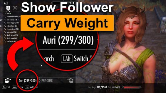 Show Follower Carry Weight Skyrim Special Edition Mod   1693801546 