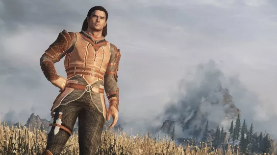 New Leather Armor 鎧・アーマー - Skyrim Special Edition Mod