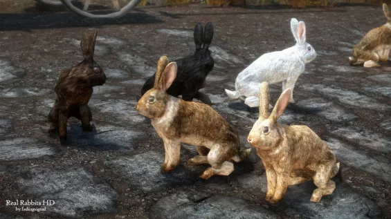 Real Rabbits HD - Color Variants and Smooth Mesh モデル・テクスチャ - Skyrim ...