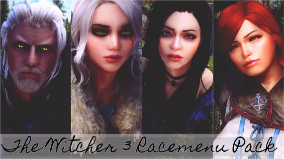 ウィッチャー3＆スカイリム Skyrim SE】DX Witch Hunter Armor – TRE-MAGA