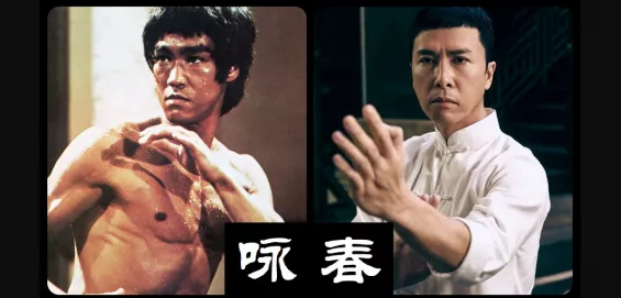 詠春拳 咏春拳木人桩系统训练(咏春拳训练完整教程) - 匿名